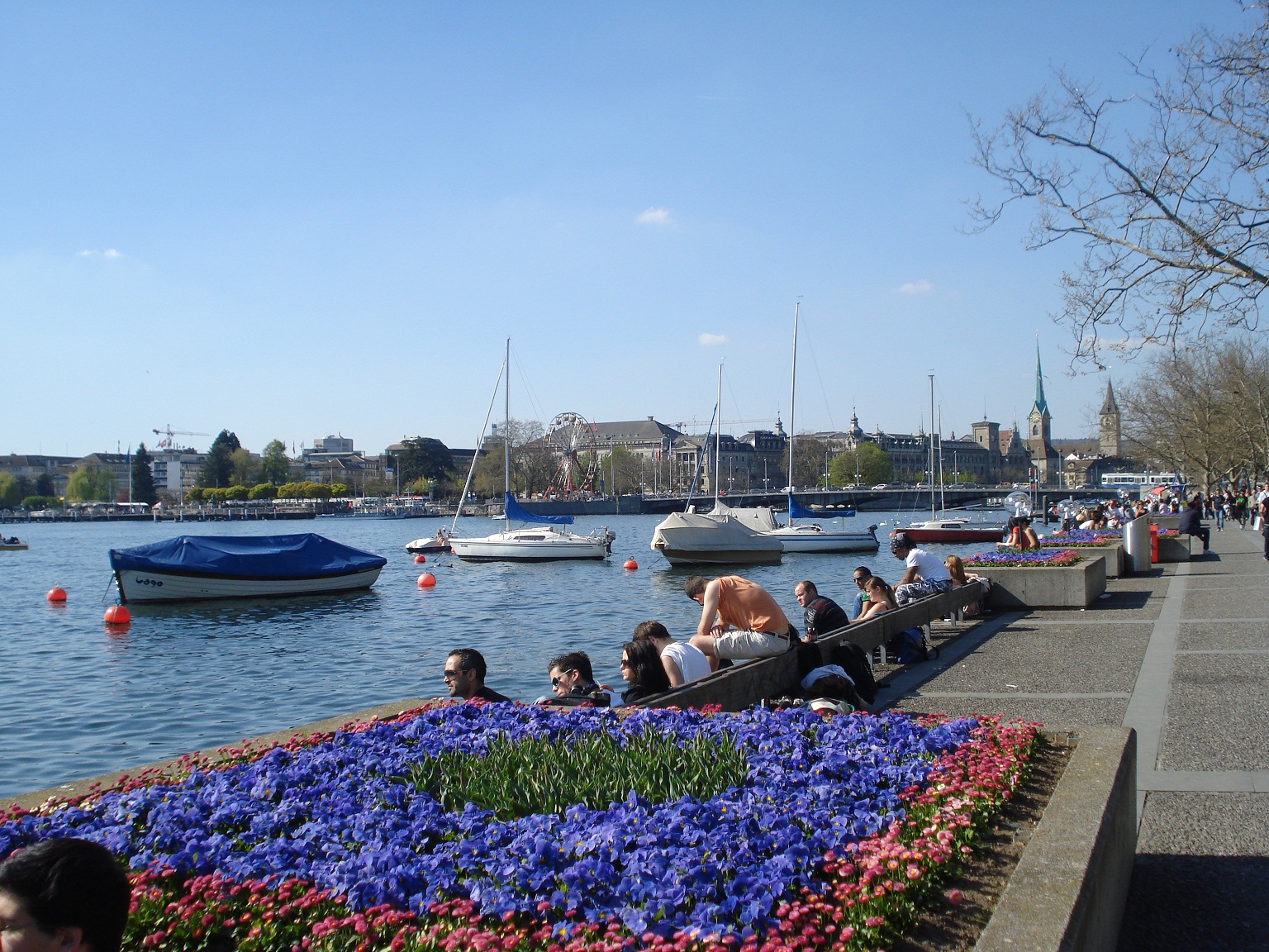 цветы на озере Цюриха, гид по цветочному Цюриху Полина
